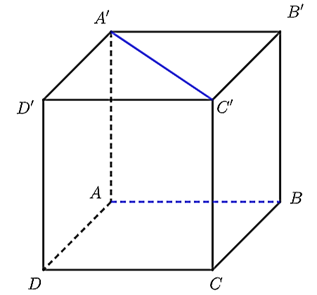 Cho hình lập phương ABCD.A'B'C'D' (như hình vẽ dưới) (ảnh 1)