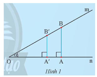 Cho góc nhọn mOn = alpha. Lấy hai điểm A và A' trên On, kẻ hai đường thẳng qua A và A' vuông góc với On cắt Om lần lượt tại B và B'. (ảnh 1)