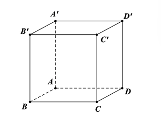 a) Cho hình lập phương ABCD.A'B'C'D' có A(0; 0; 0), B(1; 0; 0), D(0; 1; 0), C'(1; 1; 1). (ảnh 1)