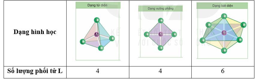 Hãy xác định số lượng phối tử L trong phân tử hoặc ion phức chất ứng với mỗi dạng hình học ở Bảng 28.1. (ảnh 2)