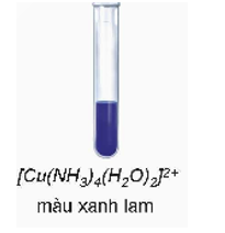 Có 3 lọ hoá chất, mỗi lọ đựng dung dịch của một trong các phức chất sau: [Ag(NH3)2]+, [Cu(H2O)6]2+; [Cu(NH3)4(H2O)2]2 (ảnh 2)