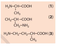 Cho biết các chất dưới đây là α, β hay γ amino acid và gọi tên các amino acid này bằng tên thay thế: (ảnh 1)