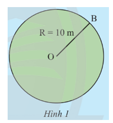 Một hàng rào bao quanh một sân cỏ hình tròn có bán kính 10 m (Hình 1) (ảnh 1)