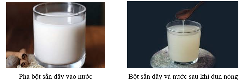 Nêu những hiện tượng trong thực tiễn chứng tỏ tinh bột tan được trong nước nóng còn cellulose không tan. (ảnh 1)