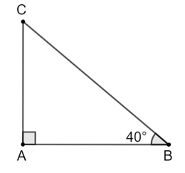 a) Vẽ một tam giác vuông có một góc bằng 40°. Đo độ dài các cạnh rồi dùng các số đo để tính các tỉ số lượng giác của góc 40°. Kiểm tra lại các kết quả vừa tính bằng máy tính cầm tay. (ảnh 1)