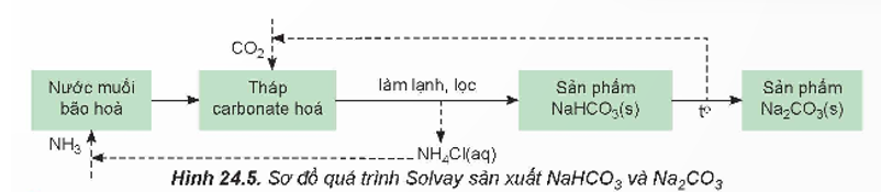 a) Trong quá trình Solvay viết các phương trình hoá học của phản ứng:  - Nung vôi để cung cấp vôi sống và carbon dioxide. (ảnh 1)