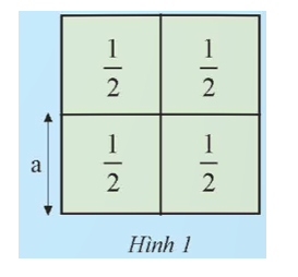 Bốn ô vuông diện tích 1/2 m 62 ghép thành cửa sổ như Hình 1.   (ảnh 1)