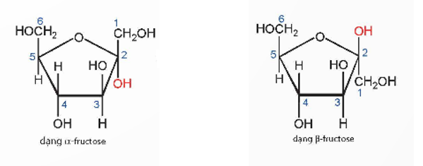 Phân tử saccharose có nhóm – OH hemiacetal hoặc nhóm – OH hemiketol không? Vì sao? (ảnh 2)