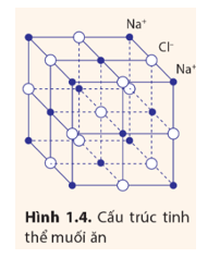 Muối ăn có cấu trúc tinh thể gồm các ion Na+ và Cl- có vị trí cân bằng trùng với đỉnh của khối lập phương (Hình 1.4). (ảnh 1)