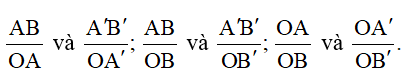 Cho góc nhọn mOn = alpha. Lấy hai điểm A và A' trên On, kẻ hai đường thẳng qua A và A' vuông góc với On cắt Om lần lượt tại B và B'. (ảnh 2)