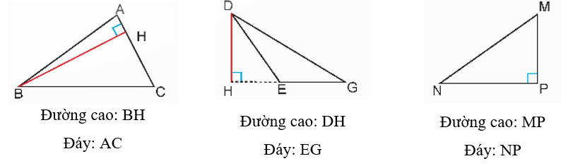 Hãy chỉ ra đáy và đường cao tương ứng được vẽ trong mỗi hình tam giác dưới đây. (ảnh 2)