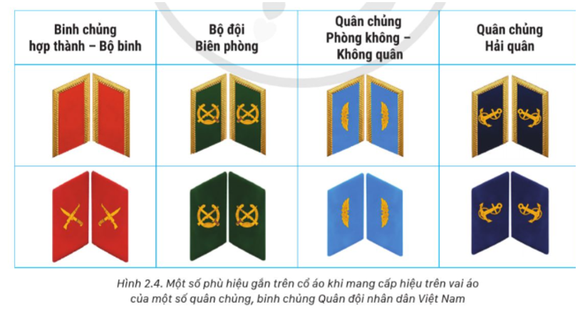 Em hãy mô tả hình phù hiệu của một số phù hiệu gắn trên cổ áo khi mang cấp hiệu trên vai áo của một số quân chủng (ảnh 1)