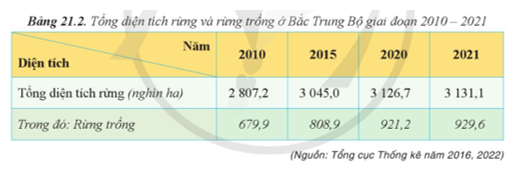 Dựa vào bảng 21.2, hãy tính tỉ trọng diện tích rừng trồng trong tổng diện tích rừng của Bắc Trung Bộ giai đoạn 2010 – 2021. Nhận xét. (ảnh 1)