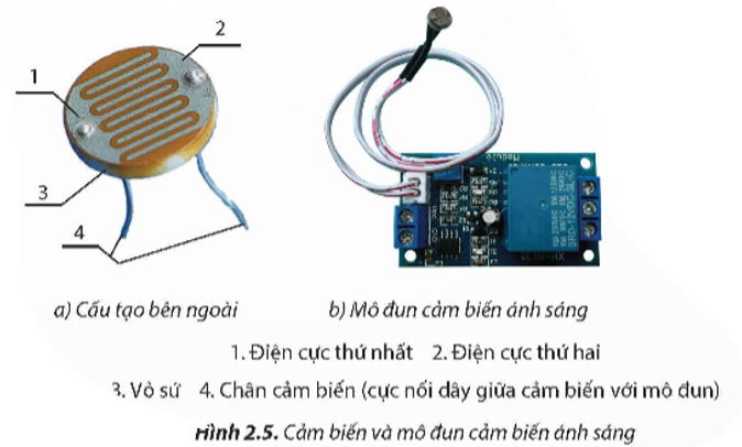 Em hãy mô tả cấu tạp bên ngoài của cảm biến ánh sáng ở Hình 2.5a (ảnh 1)