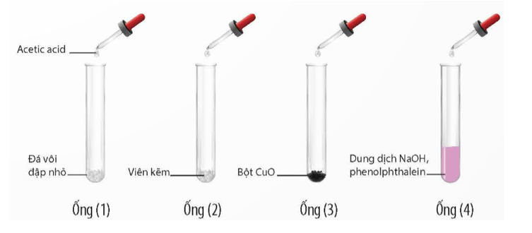 Tiến hành Thí nghiệm 2 và nêu hiện tượng xảy ra trong mỗi ống nghiệm. (ảnh 1)