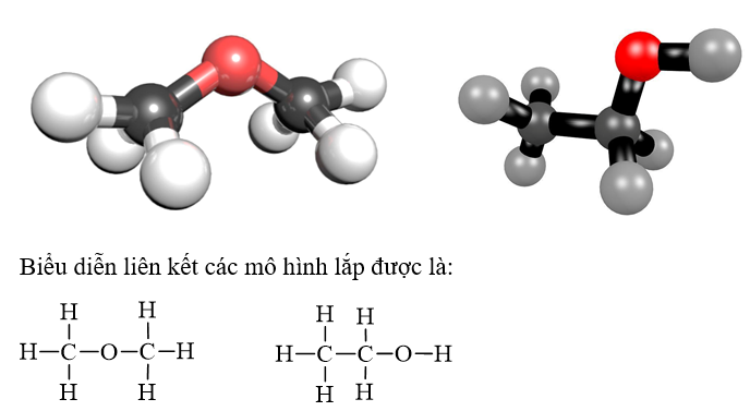 Lắp mô hình phân tử hợp chất hữu cơ có công thức phân tử C2H6O (ảnh 1)