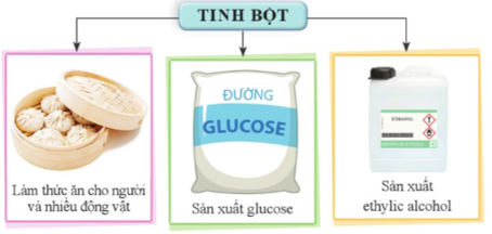 Quan sát hình 27.4 và cho biết những ứng dụng chính của tinh bột.   (ảnh 1)