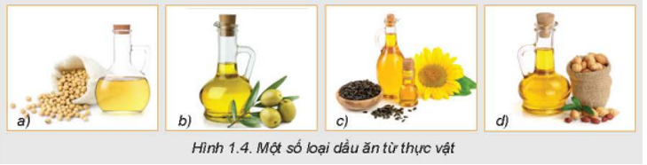 Quan sát Hình 1.4 dưới đây, hãy nêu tên một số loại quả và hạt có thể dùng sản xuất dầu ăn. Ở nhà em thường sử dụng loại dầu ăn nào ?  (ảnh 1)