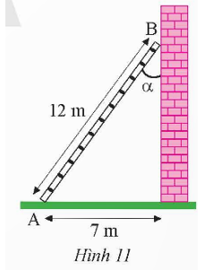 Một cái thang 12 m được đặt vào một bức tường sao cho chân thang cách tường 7 m (Hình 11). Tính góc α tạo bởi thang và tường.   (ảnh 1)
