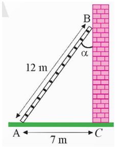 Một cái thang 12 m được đặt vào một bức tường sao cho chân thang cách tường 7 m (Hình 11). Tính góc α tạo bởi thang và tường.   (ảnh 2)