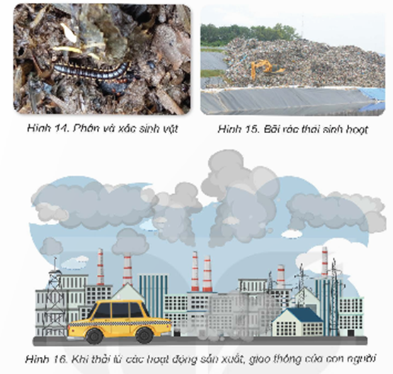 Quan sát từ hình 12 đến hình 16 và trả lời câu hỏi: - Hằng ngày, sinh vật, con người thải ra môi trường những gì trong quá trình sống? (ảnh 2)