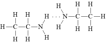 Biểu diễn liên kết hydrogen giữa các phân tử ethylamine với nhau và với nước. (ảnh 1)