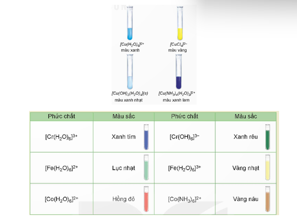 - Nhận biết một số phức chất thông dụng dựa vào màu sắc đặc trưng của phức chất. - Nêu được một số ứng dụng của phức chất trong cuộc sống. (ảnh 1)