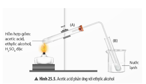 Tên gọi của phản ứng ở Thí nghiệm 3 là gì? Cho biết tên gọi chung của sản phẩm. (ảnh 1)