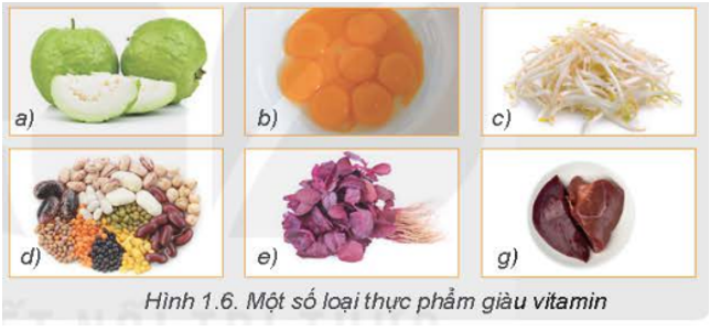 Phân tích Bảng 1.1 hãy kể một số loại vitamin thiết  yếu và cho biết mỗi loại thực phẩm ở Hình 1.6 cung cấp vitamin nào.    (ảnh 1)