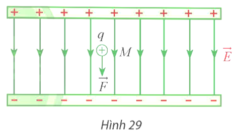 Trong điện trường đều, lực tĩnh điện F (đơn vị: N) tác dụng lên điện tích điểm có điện tích q (đơn vị: C) (ảnh 1)