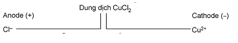 Xét thí nghiệm điện phân dung dịch (đpdd) CuCl2 với điện cực trơ (như than chì). (ảnh 1)