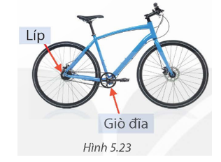 Ba bộ phận truyền chuyển động của một chiếc xe đạp gồm một giò đĩa (ảnh 1)