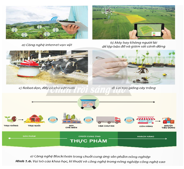 Quan sát Hình 1.6 và cho biết vai trò của khoa học, kĩ thuật, công nghệ trong nông nghiệp (ảnh 1)