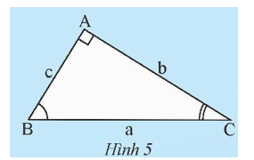 Cho tam giác ABC (Hình 5). Em hãy cho biết trong các trường hợp nào sau đây (ảnh 1)