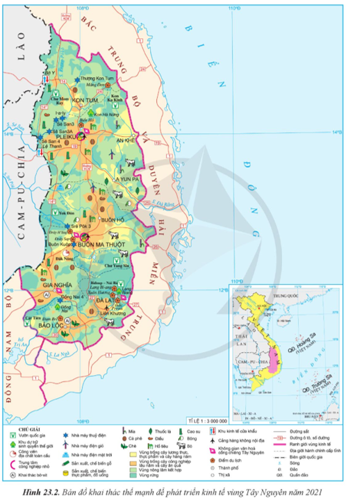 Dựa vào thông tin bài học và hình 23.2, hãy trình bày sự phát triển và phân bố cây công nghiệp lâu năm của vùng Tây Nguyên. (ảnh 1)