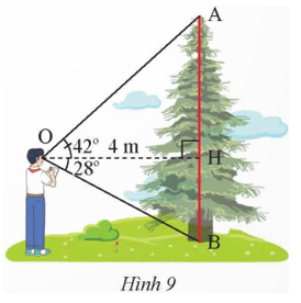 Trong Hình 9, cho OH = 4 m, góc AOH = 42 độ, góc HOB = 28 độ.  Tính chiều cao AB của dây.   (ảnh 1)