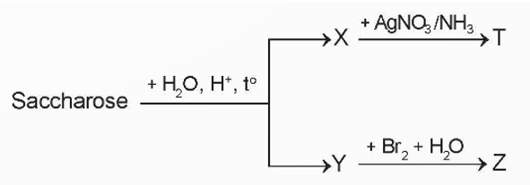 Hoàn thành các phương trình phản ứng theo sơ đồ (X, Y, Z, T là các chất hữu cơ khác nhau):   (ảnh 1)