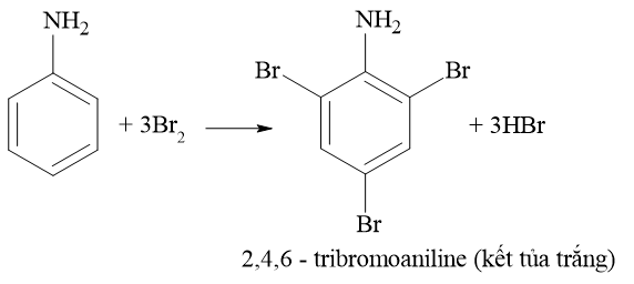 Thí nghiệm 2. Phản ứng bromine hoá aniline.  Chuẩn bị:  – Hoá chất: Dung dịch aniline, nước bromine bão hoà. (ảnh 1)
