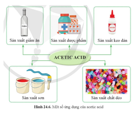Dựa vào hình 24.6, nêu một số ứng dụng của acetic acid. (ảnh 1)
