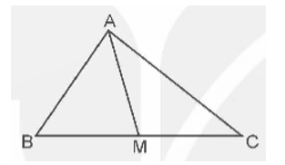 Đ, S? Cho hình tam giác ABC và M là trung điểm của cạnh BC.   a) Diện tích hình tam giác ABM (ảnh 1)