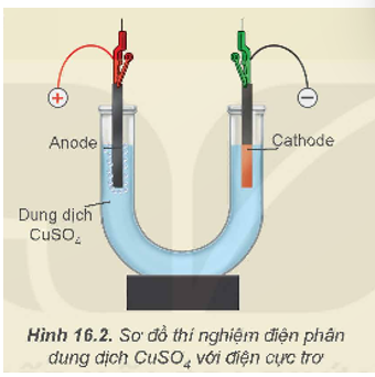 Thí nghiệm: Điện phân dung dịch CuSO4  Chuẩn bị:  Hoá chất: dung dịch CuSO4 0,5 M. (ảnh 1)
