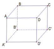 Cho hình lập phương ABCD.A'B'C'D' như hình vẽ bên (ảnh 1)