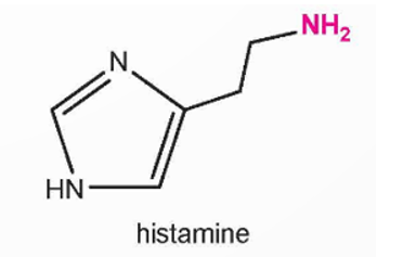 Histamine là một amine tự nhiên được tìm thấy trong cơ thể người và nhiều loại (ảnh 1)
