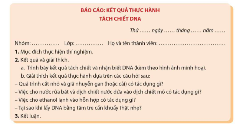 Viết và trình bày báo cáo theo mẫu: (ảnh 1)