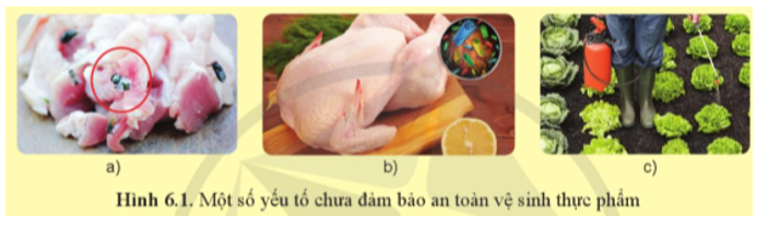 Yếu tố nào chưa đảm bảo an toàn vệ sinh thực phẩm trong Hình 6.1. Giải thích.    (ảnh 1)