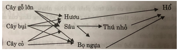 Trong một quần xã sinh vật gồm các loài sau: Cây gỗ lớn, cây bụi, cây cỏ (ảnh 1)