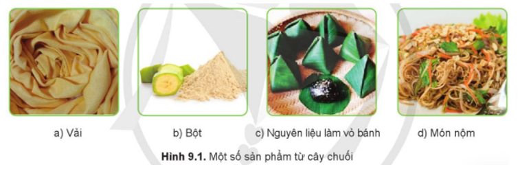 Em hãy cho biết các sản phẩm trong Hình 9.1 làm từ bộ phận nào sau đây của cây chuối: hoa chuối, quả chuối xanh, là chuối, thân cây chuối?   (ảnh 1)