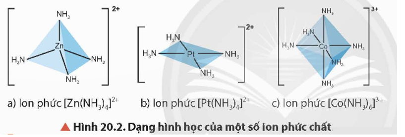 Quan sát Hình 20.2, cho biết dạng hình học của mỗi ion phức chất.   (ảnh 1)