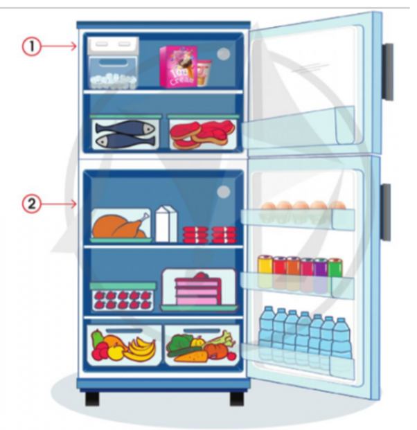 Dựa vào hình và thông tin gợi ý dưới đây, hãy gọi tên các khoang chứa trong tủ lạnh và nêu vai trò của chúng   (ảnh 1)
