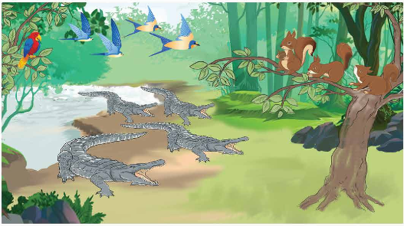 Số?   Bức tranh bên có 5 con chim, 3 con sóc và 4 con cá sấu. So với tổng số con vật trong tranh: a) Số con vật có bốn chân, không là động vật ăn thịt chiếm .?. %,  b) Số con vật đẻ trứng chiếm .?. %. (ảnh 1)